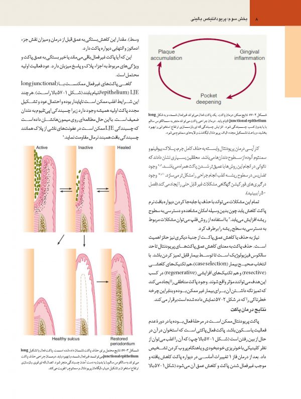 CAR3-RNGI_Page_08