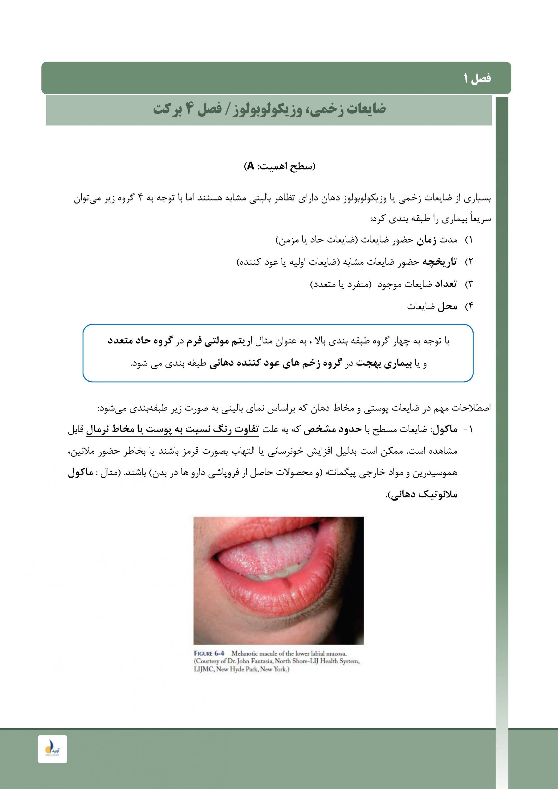 برکت_Page_01-1-scaled