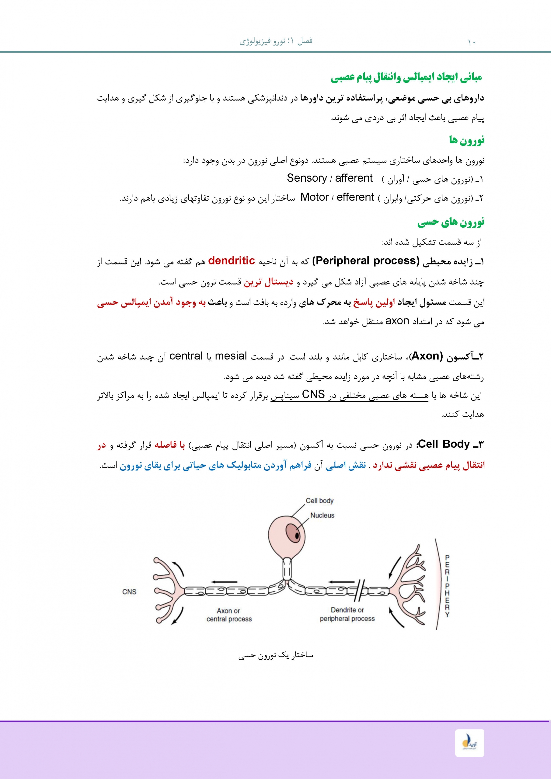 مالامد_Page_10-scaled