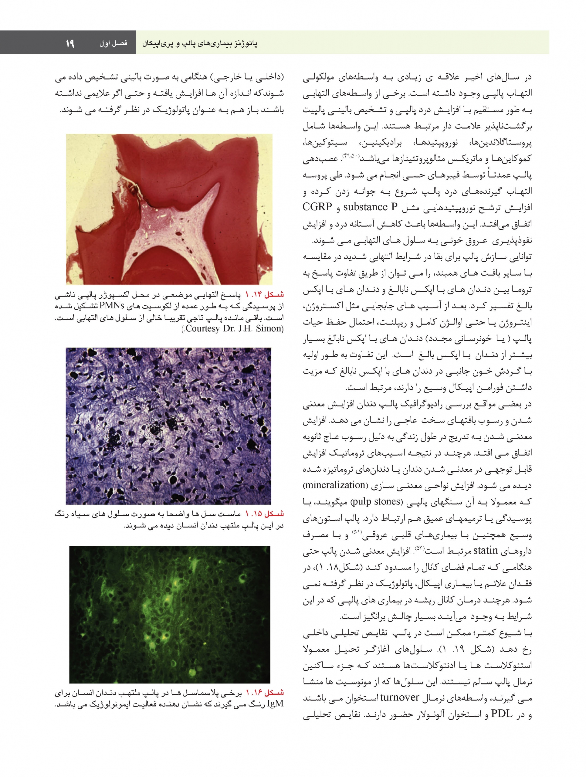 Endo-2021-color-_Page_19-scaled