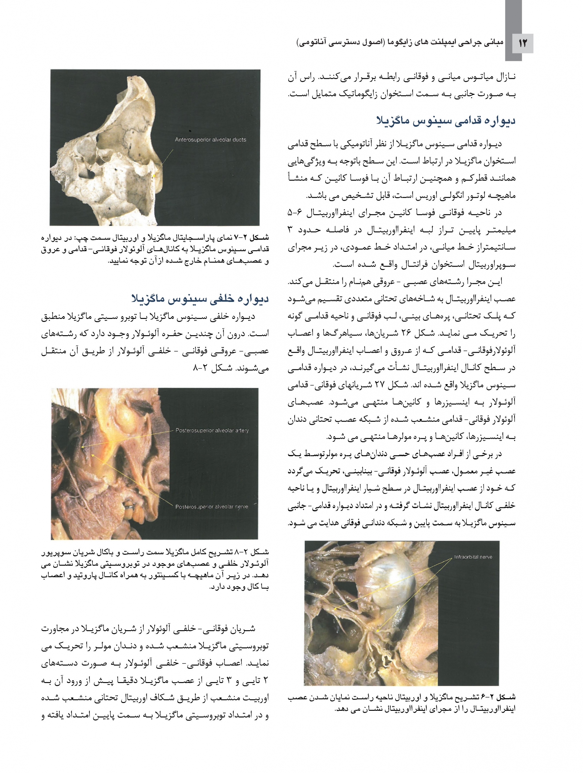 zygomatic-final_Page_12-scaled