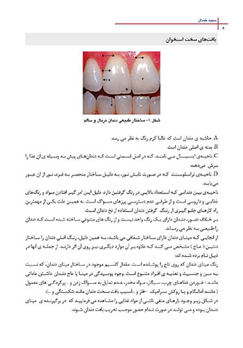 سپید-خندان_Page_8-min