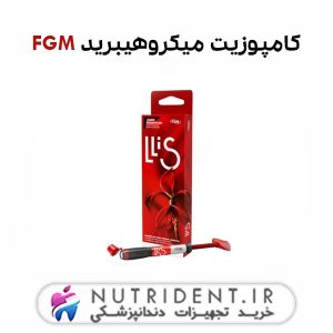 کامپوزیت میکروهیبرید FGM
