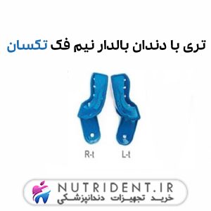 تری با دندان بالدار نیم فک تکسان