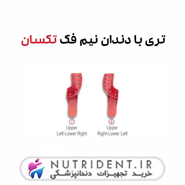 تری با دندان نیم فک تکسان تری با دندان نیم فک تکسان