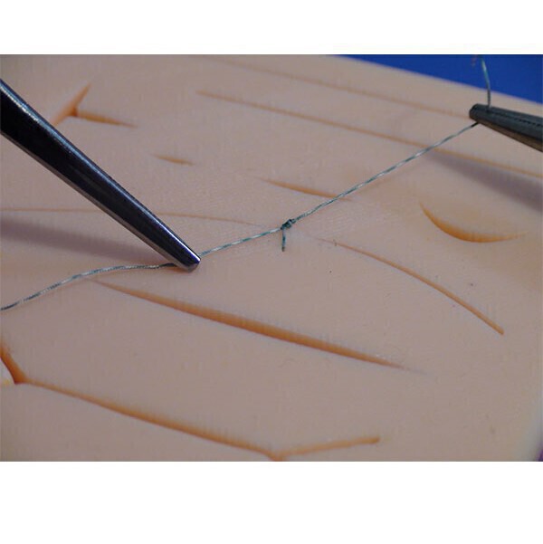 80034a3765834cc6ae073e362858f1b6