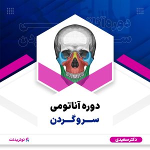 دوره آموزشی آناتومی سر و گردن