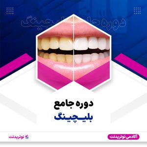 دوره آموزشی بلیچینگ